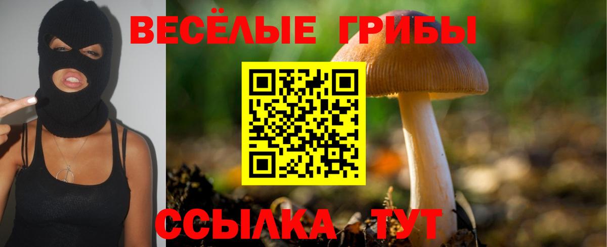 Галлюциногенные грибы прущие грибы Тихорецк